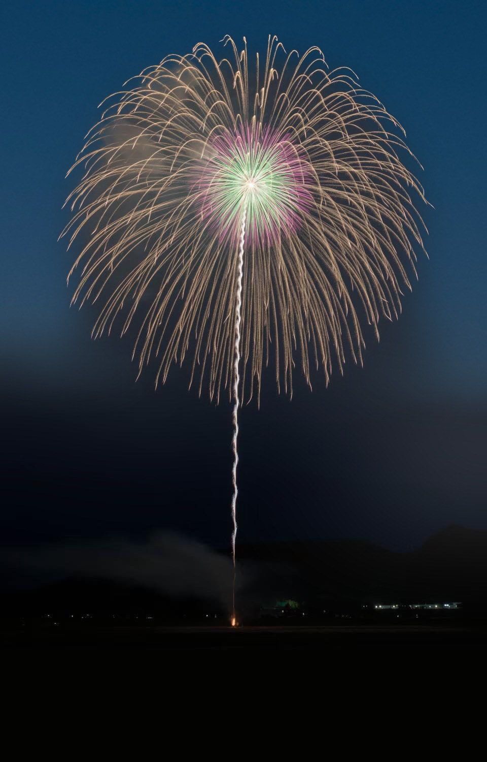 A single Omagari firework opening across the twilight sky